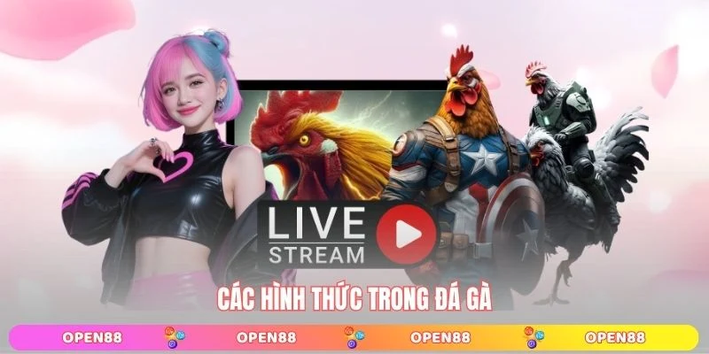 Các hình thức trong đá gà 