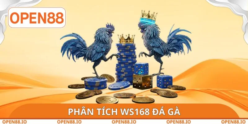 Phân tích WS168 đá gà
