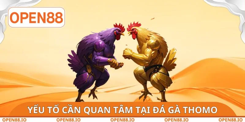 Yếu tố cần quan tâm tại đá gà Thomo